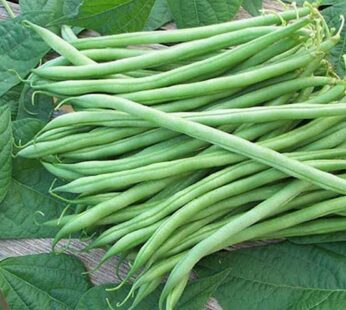 Beans (Naaty)