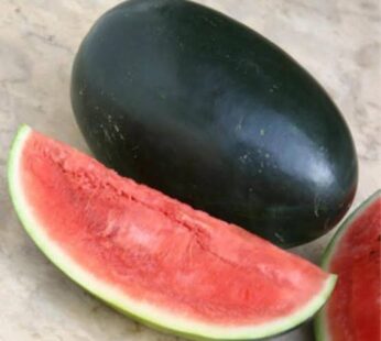 Watermelon (Hybrid)