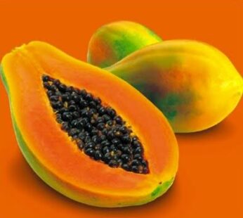 Papaya (Hybrid)
